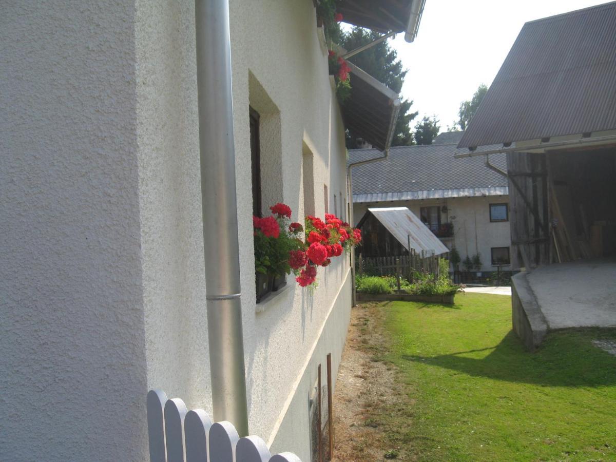 Apartma Tilika Kranjska Gora Exteriör bild